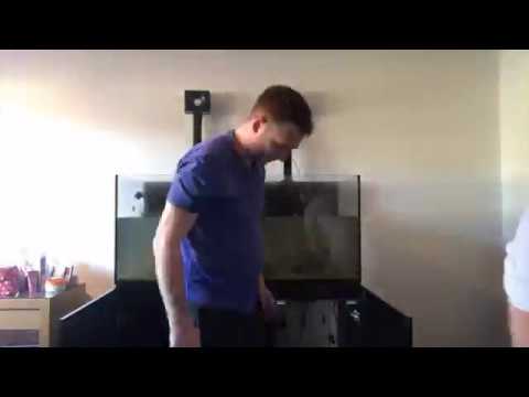 Moving a Red Sea Reefer 350