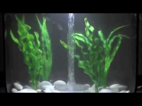 My Biorb Life Aquarium