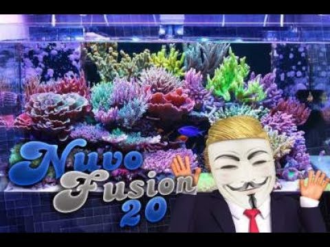 My First Reef Tank (Innovative Marine Nuvo Fusion 20!)