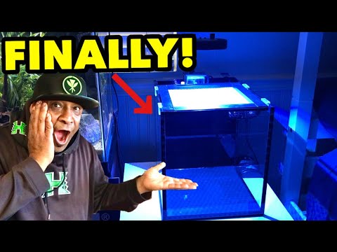 MY FIRST SALTWATER AQUARIUM! *INNOVATIVE MARINE