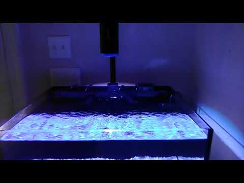 My Innovative Marine DC skimmer has gotten so LOUD!