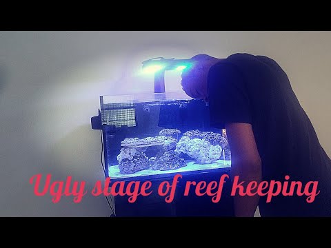 My Innovative Marine Tank In The Ugly Stage