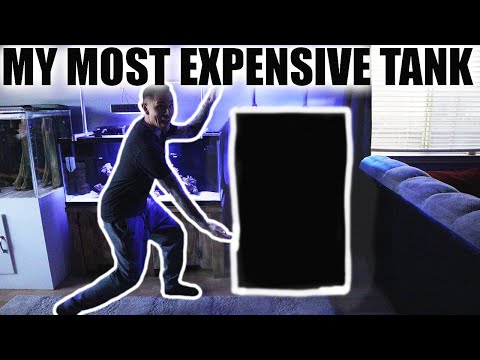 MY MOST EXPENSIVE AQUARIUM—NUVO FUSION 50 GALLON LAGOON INNOVATIVE MARINE TANK SETUP 2020