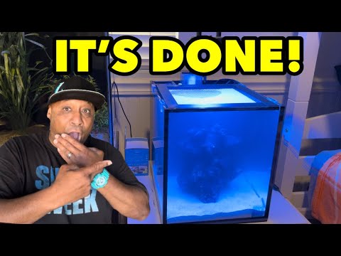 MY SALTWATER AQUARIUM IS DONE!