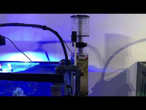 #My#Reef#octopus#classic#90-HOB#