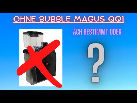 Nano Meerwasseraquarium ohne Abschäumer. Bubble Magus QQ1 defekt. 1 Monat ohne Abschäumer.