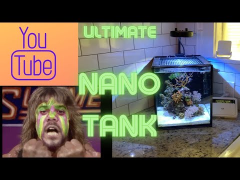 Nano Reef Update! Innovative Marine 10 gallon