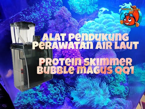 NANO TANK JANGAN PAKE ALAT COBA COBA (REVIEW BUBBLE MAGUS QQ1)