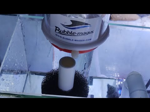 nano tank reef bubble magus qq