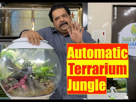 Natural Bioactive Forest Terrarium | biOrb Air 60 | Mayur Dev Aquascaper  4K