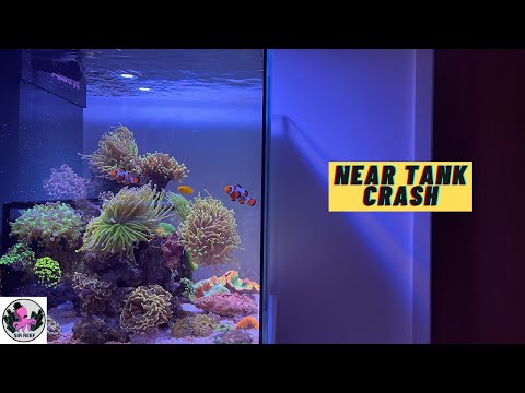Near Tank Crash | RED SEA REEFER NANO 28G