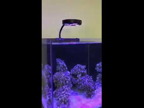 Neatening up a Aqua One Minireef 150