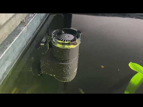 Neuheit – der neue OASE CrystalSkim in Action – ab sofort bei uns erhältlich!