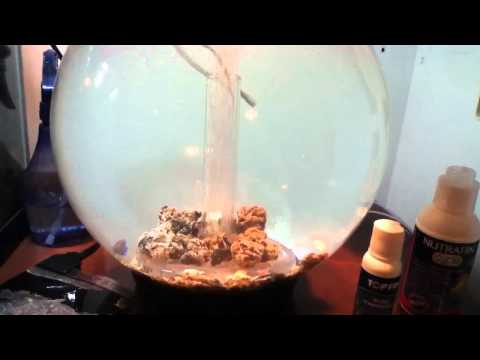 New 4 gallon Biorb!