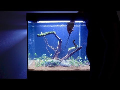New Aquarium Setup | Step by Step | Juwel Lido 200 LED