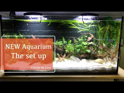 NEW Aquarium, the set up! EHEIM 96 Liter/25,3 gallons
