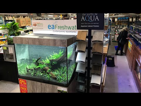 New Aquascape and Shop Visit at Maidenhead Aquatics Wilton