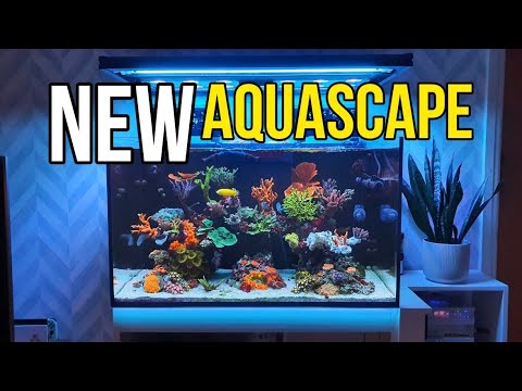 New Aquascape in the Red Sea Reefer 250 – Saltwater Aquarium – Mixed Reef Tank to SPS Dominant