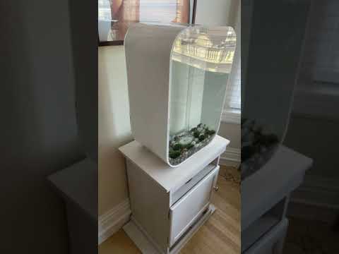 New Biorb Aquarium