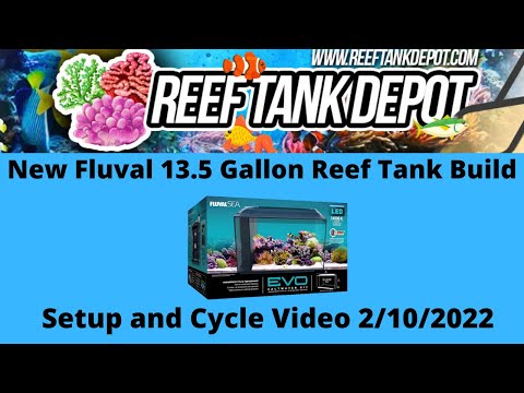 New Fluval 13.5 Gallon Evo Reef Tank Setup and Cycle