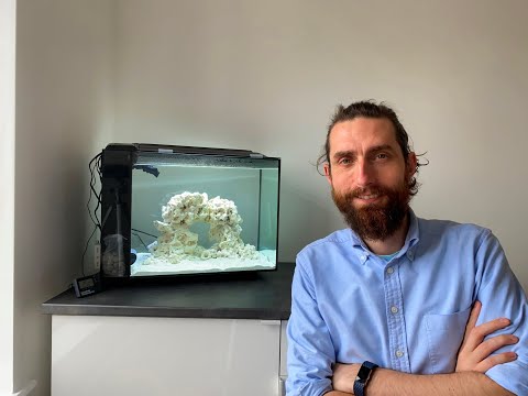 New Fluval Evo 16G Aquarium Setup