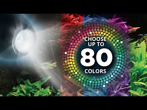 *NEW* Fluval Prism 2.0 Underwater Spotlight LED