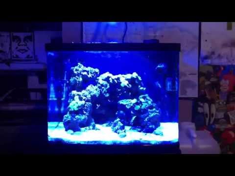 NEW KESSIL A350W LED REVIEW