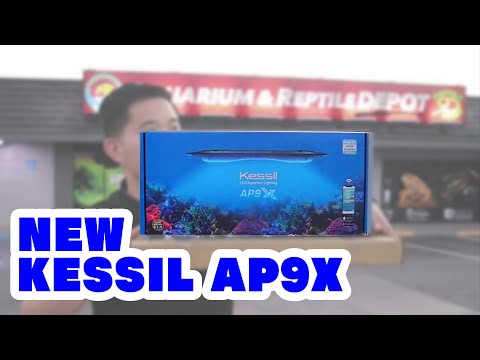 NEW KESSIL AP9X!!