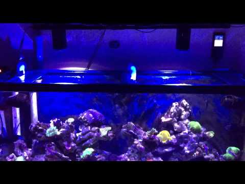 New Kessil Lighting system complete!