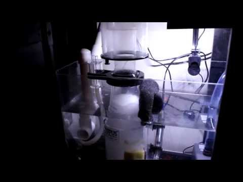 New Reef Octopus NWB 110 in Sump