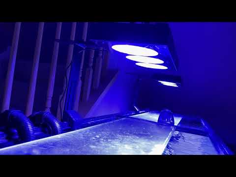NO LIDS on Saltwater Aquarium – DIY saltwater tank overflow covers