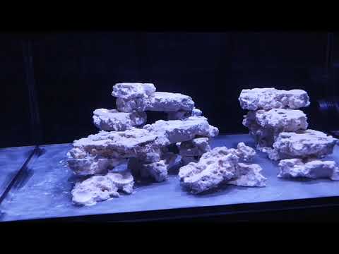 Nuvo 25 Unboxing and First Impressions – Innovative Marine AIO Nuvo 25 Shallow Nano Aquarium
