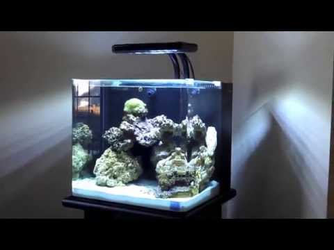 Nuvo 30 Gallon Aquarium by Innovative Marine