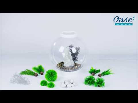 Oase Aquarien-Set "biOrb classic" . Aufbau und Inbetriebnahme