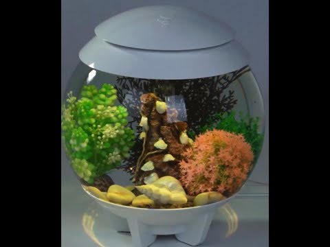Oase Aquarien-Set "biOrb Halo". Aufbau und Inbetriebnahme