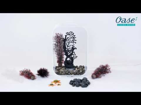 OASE biOrb | biOrb LIFE Setup