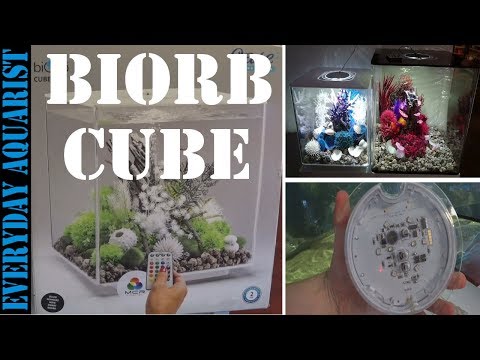 Oase BiOrb Cube 30 60 Unboxing, Review & Setup