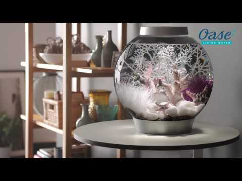 OASE biOrb | English