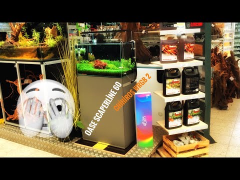 OASE SCAPERLİNE 60 DUTCHSTYLE AQUASCAPE | BİTKİLİ AKVARYUM