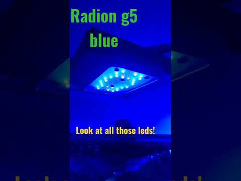 one hundred gallon reef led lighting top 5 brands kessil ai radion cree leds diy led reef lights