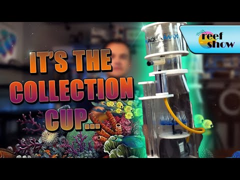 One Thing Makes This The Best… // AquaMaxx Skimmer