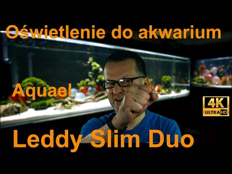 Oświetlenie led do akwarium. Aquael Leddy Slim Duo