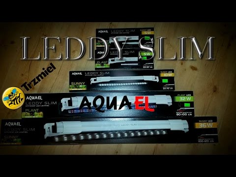 Oświetlenie LEDDY SLIM – AQUAEL #1 – NOWOŚĆ
