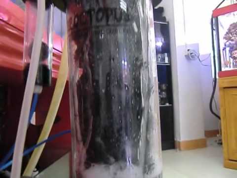 Ozone Reactor of Reef Octopus