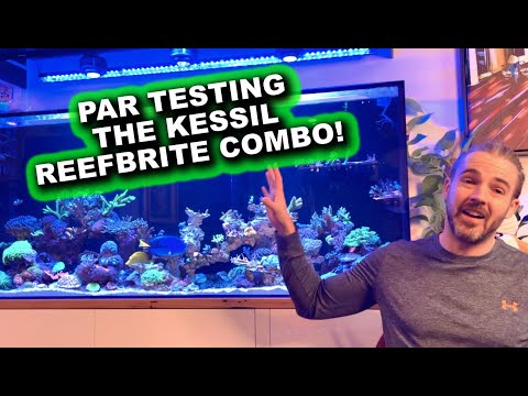 PAR Testing the Kessil and Reefbrite Combo