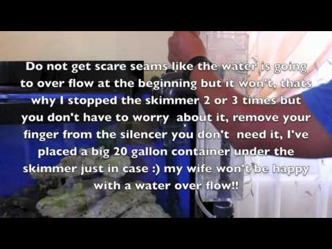 Part 2 how to set up the reef octopus BH2000 HOB Skimmer