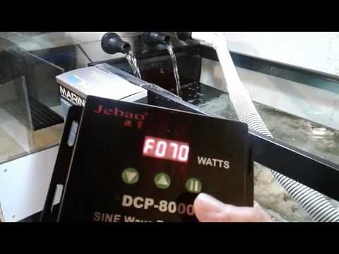 Part 6  120g build  my filtration  Marine pure bio filter, reef octopus 200int , jebao dc 8000 pump