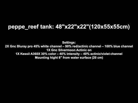 peppe_reef comparision gnc bluray pro and kessil A360X