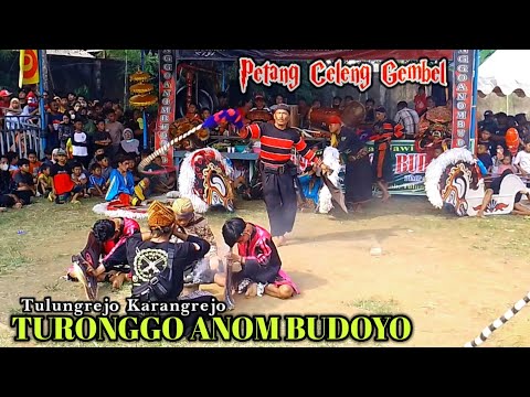 Perang Celeng Gembel // TURONGGO ANOM BUDOYO // Live Tulungrejo Karangrejo Terbaru 2022