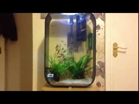 Planted Biorb Life with Co2 kit